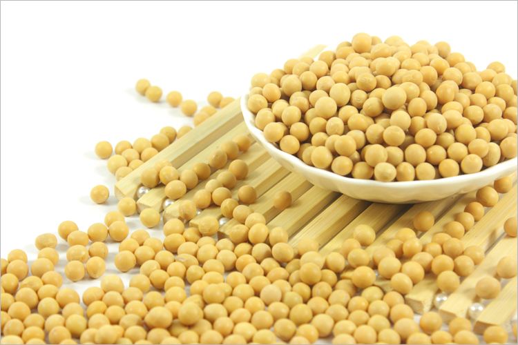 timg (3).jpg timg (3).jpg