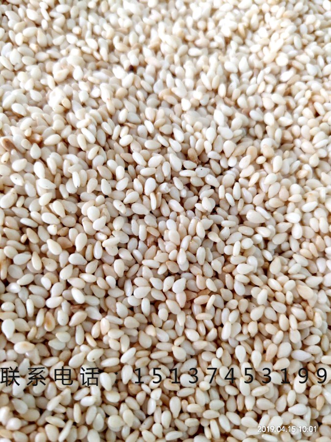 寰俊鍥剧墖_201904151226392.jpg 寰俊鍥剧墖_201904151226392.jpg